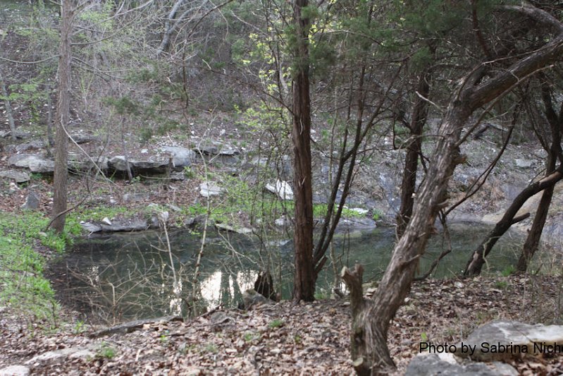 TLAS Field Trip 27 Mar 10_004.JPG